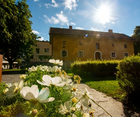 alingsås museum