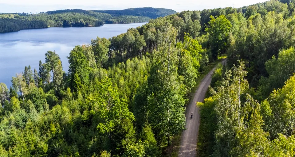 Cyklist vid en sjö i skogen.