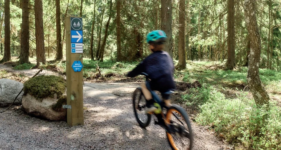 Pojke cyklar MTB i skogen