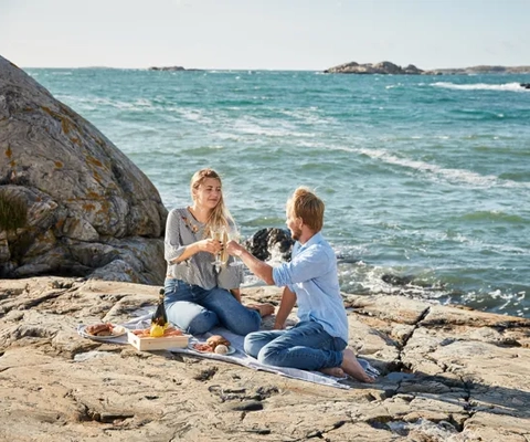 Take away mys på klipporna