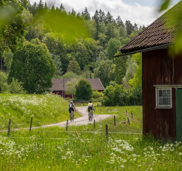 Cykling på natursköna Ljungleden.