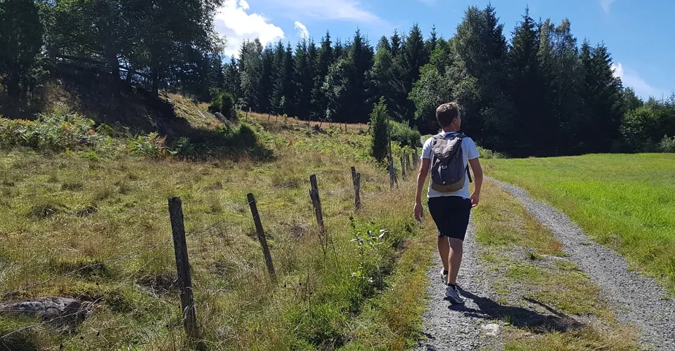 En man går längs en grusväg bredvid ett grönskande fält.