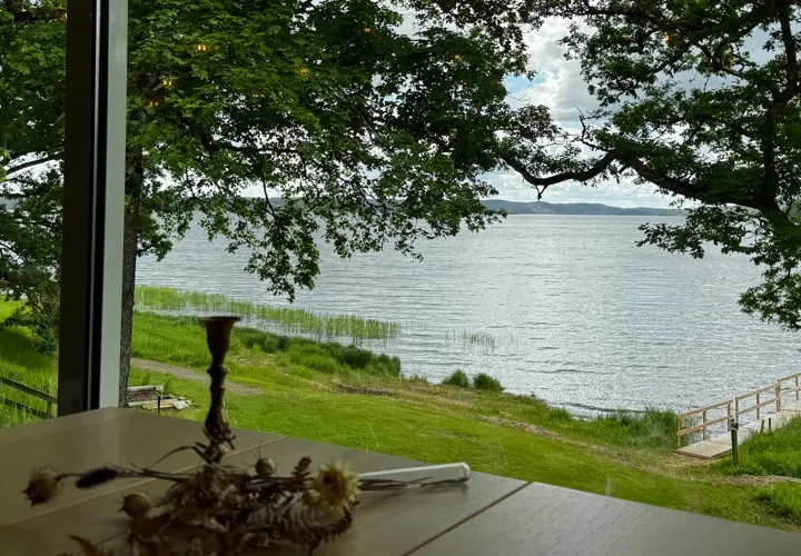 Ånga restaurang
