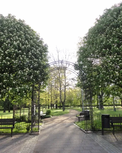 Ett parkområde med bänkar och träd.