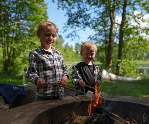 Miljöer på platåbergen Halle- och Hunneberg.