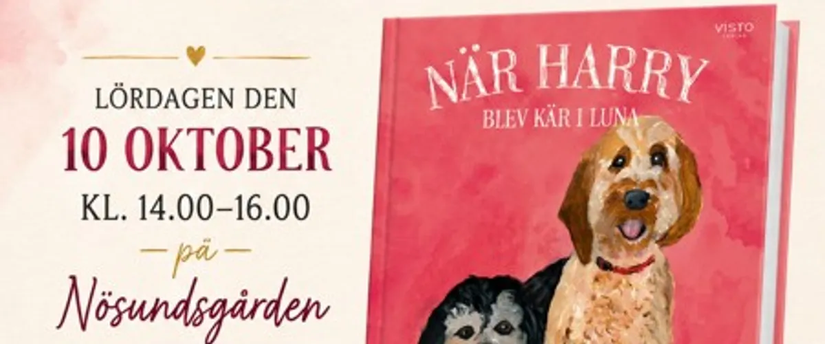 Bokrelease på Nösundsgården