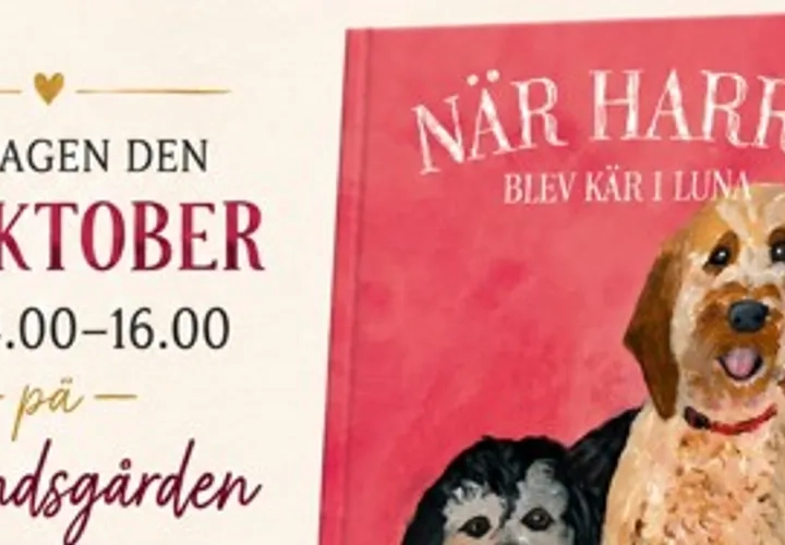 Bokrelease på Nösundsgården