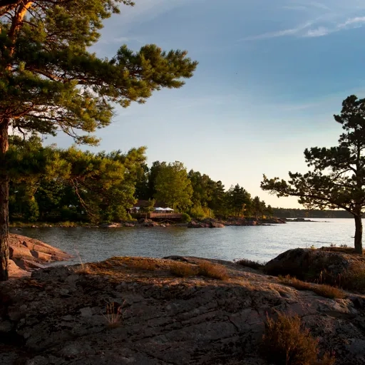 En utsikt över ett vattendrag omgiven av träd.