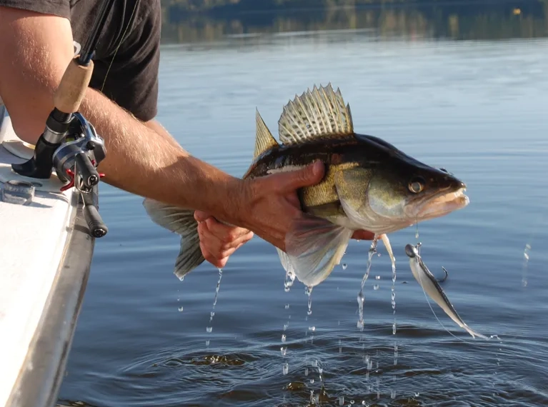 A man on a boat holding a fish.