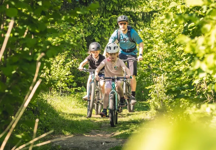 Mountainbike Mösseberg