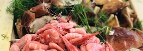 En tallrik fylld med massor av olika typer av fisk och skaldjur från En Bohuslänsk Deli