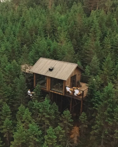 A tree house in the middle of a forest.