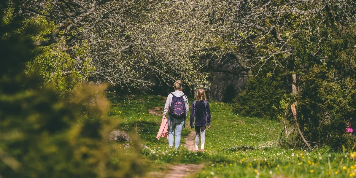 Två personer vandrar på en stig omgärdad av knoppande träd och vårblommor.
