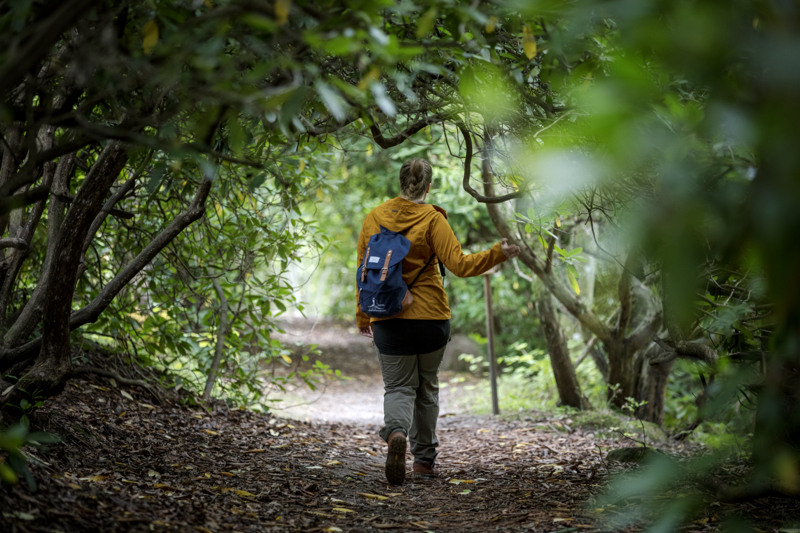 Woman walking away along a path surrounded by green leaves.