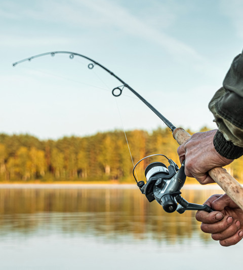 Hands of a man hold a fishing rod.