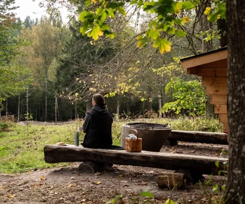 Ein Mann sitzt auf einer Bank neben einem Baum.