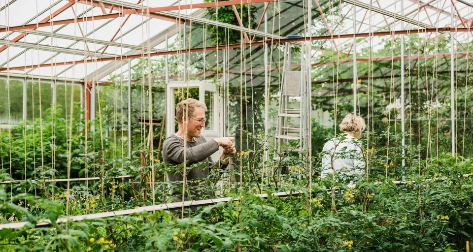 Trädgårdsmästare vid Björnhyltans Trädgård