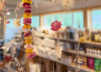 Hoga Saluhall på Tjörn