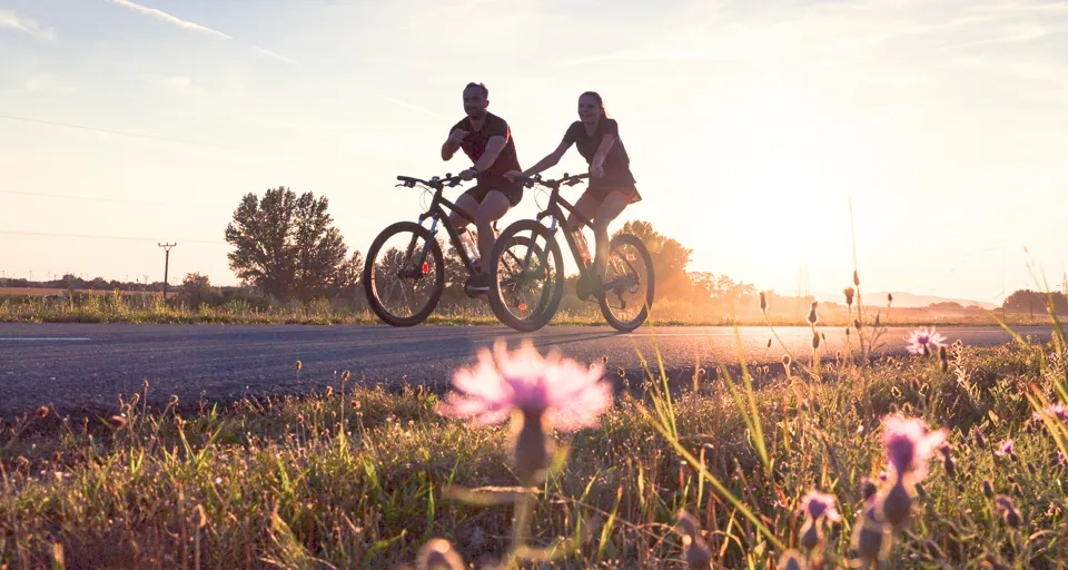 Två vuxna cyklar på en asfalterad väg en sommarkväll