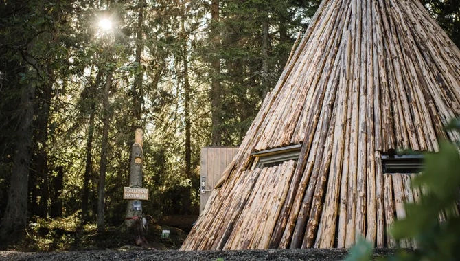 En stor träkåta i fint solljus som sipprar in mellan trädgrnarna.