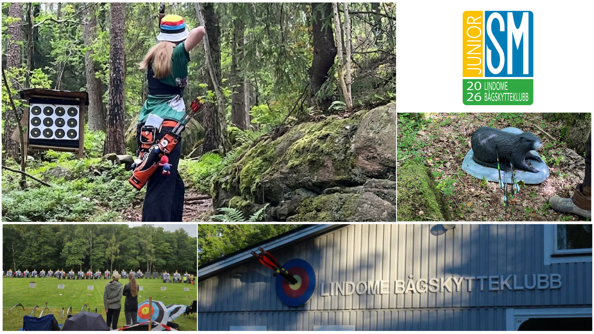  Junior-SM i bågskytte 2026