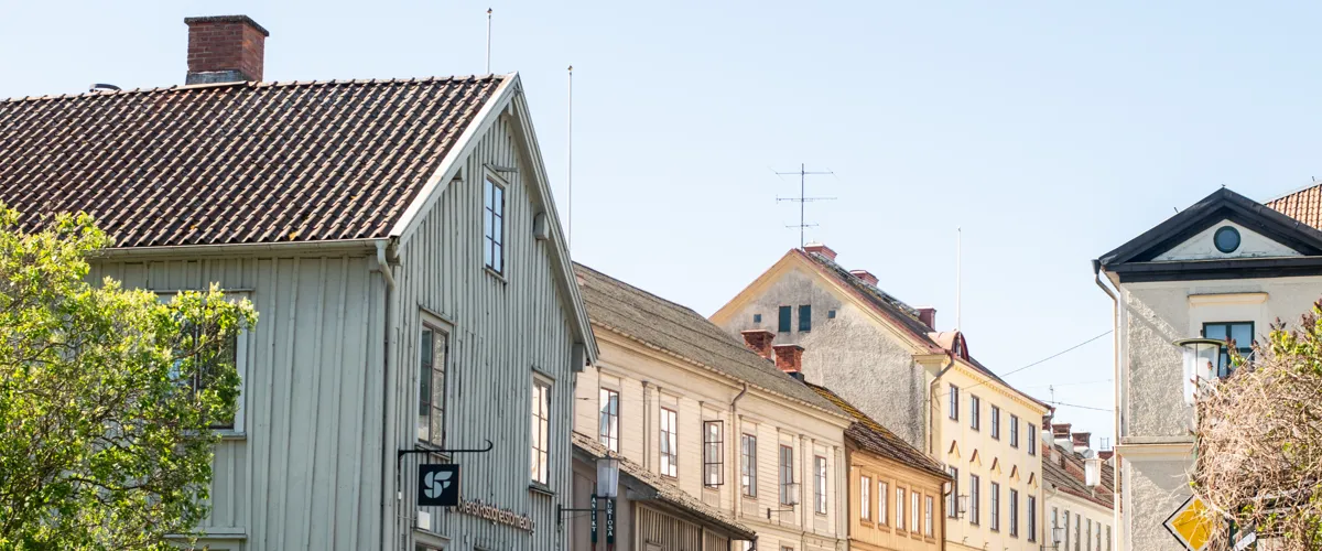 Guidetur - Hjo i färg