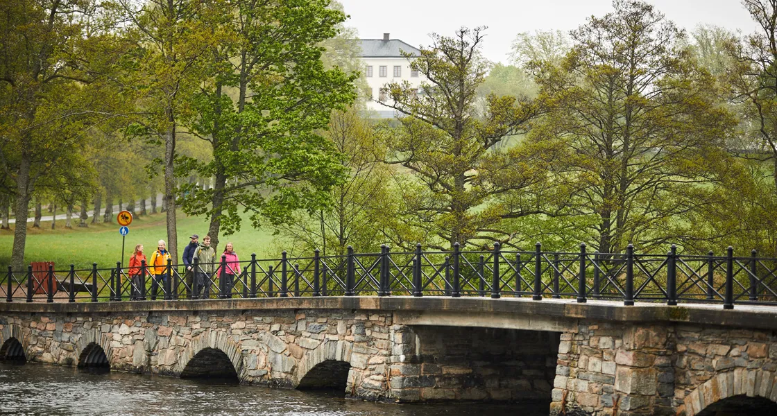 personer som vandrar i natur längs sjö.