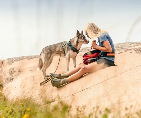 Vandrare på Kuststigen