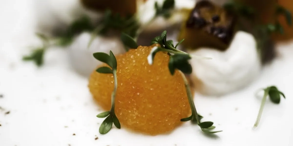 En närbild av en tallrik med Vänerlöjrom.