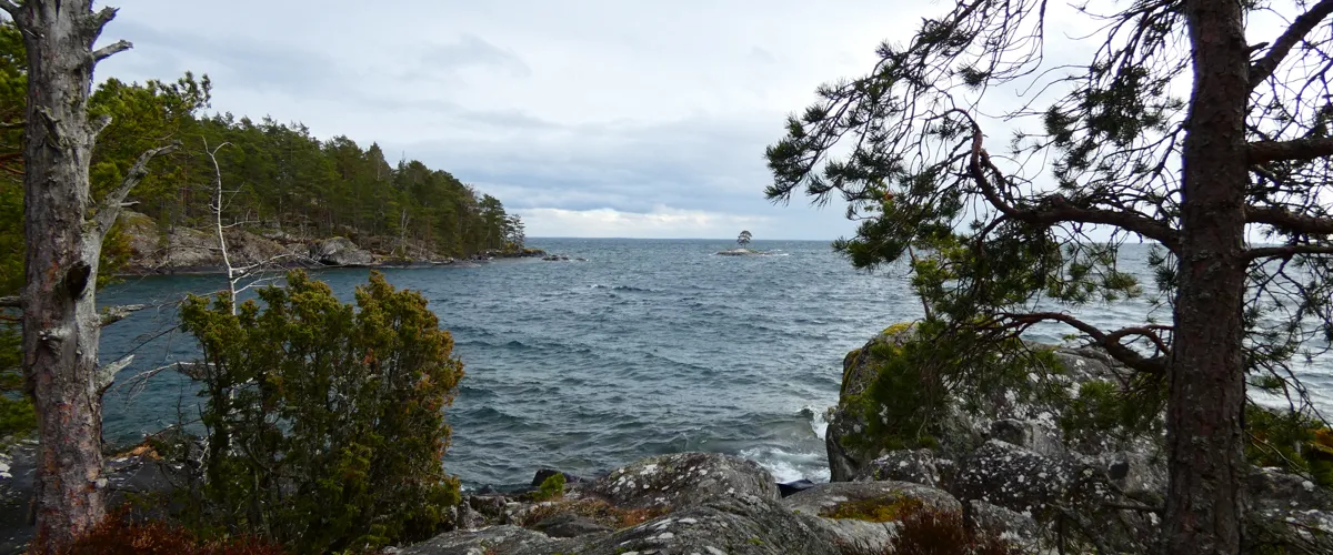 Kungens växtrunda