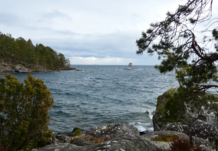 Kungens Växtrunda 