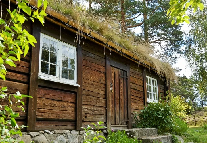 En liten trästuga med grästak.
