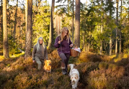 Människor i skogen med hund.