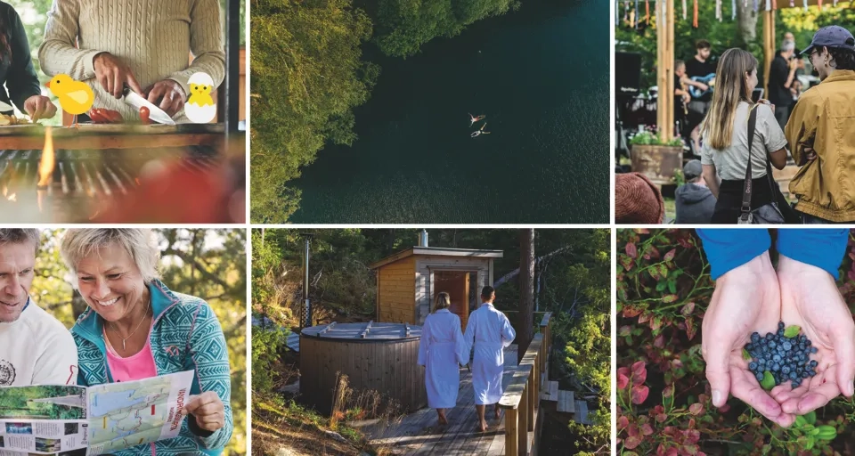 Tema för Dalsland 2026 kollage