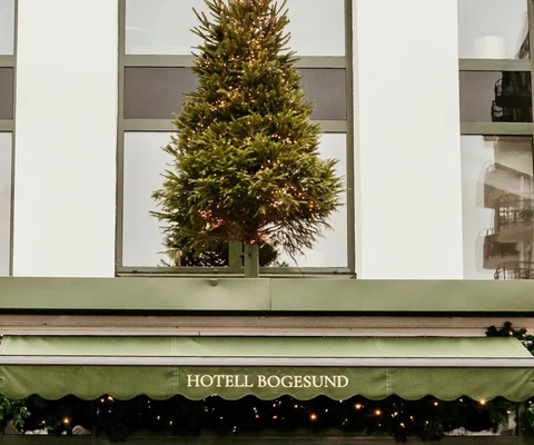 En entre med en julgran på taket.