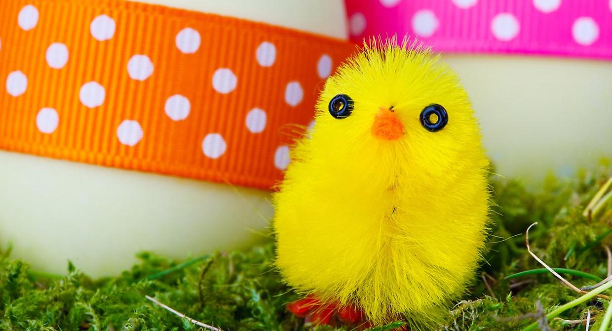 Påsklov på Falbygdens museum