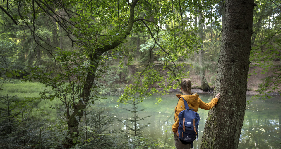 En person som står bredvid ett träd nära ett vattendrag.