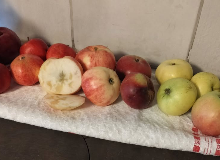 Familjedag med äpplekaketävling i Halna.