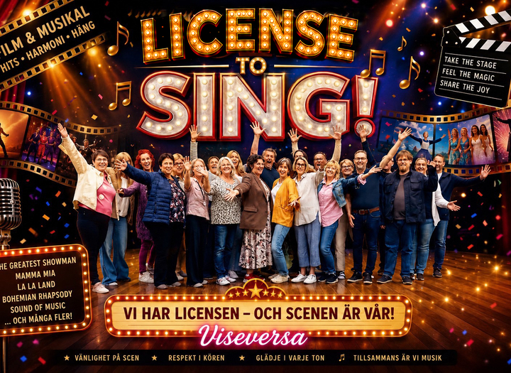 License to sing – med Viseversa!