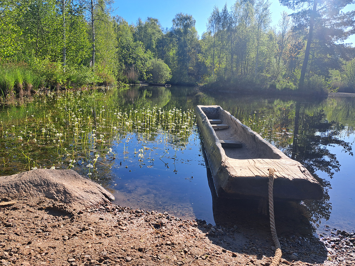 Håva smådjur och kryp på Ekehagens Forntidsby
