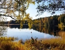 En stor vattenyta omgiven av träd.