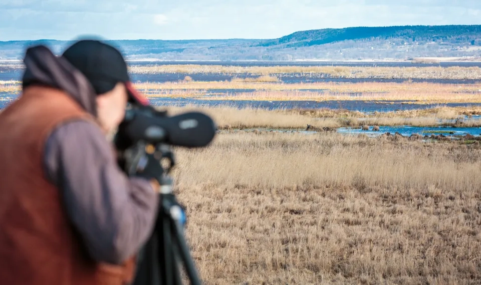 En man tar en bild av en våtmark med en kamera.