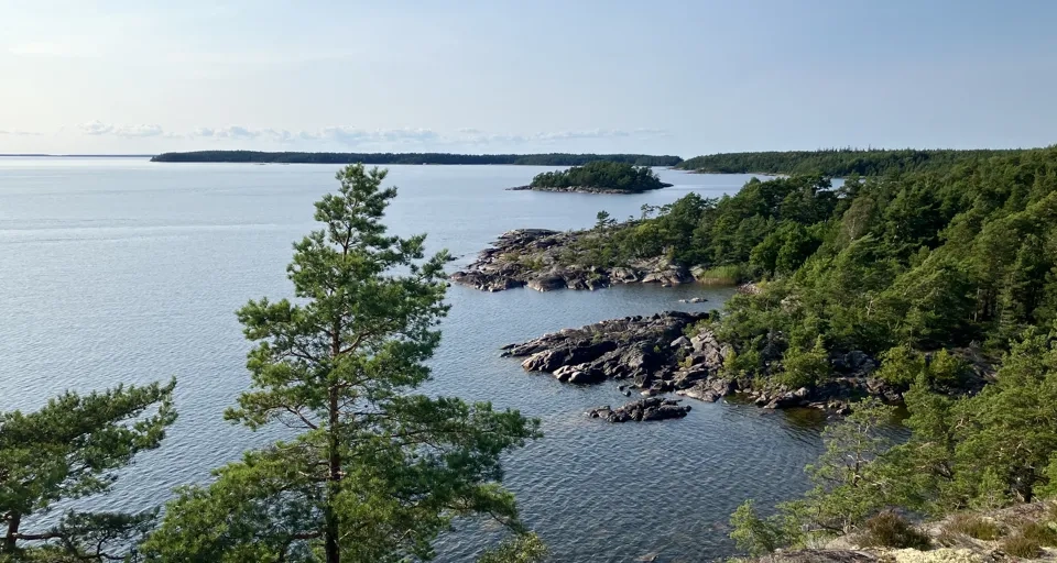 A body of water surrounded by trees and rocks.