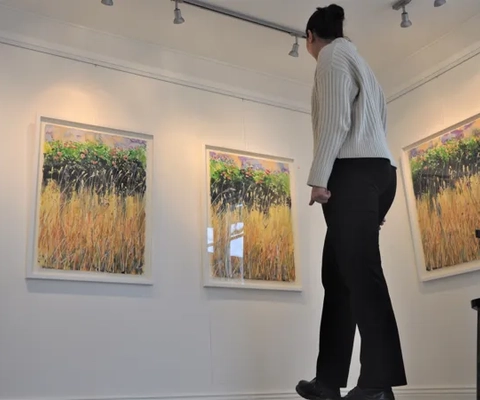 kvinna ser på tavlor i galleri