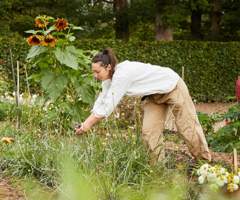 Gunnebo Slott och Trädgårdar