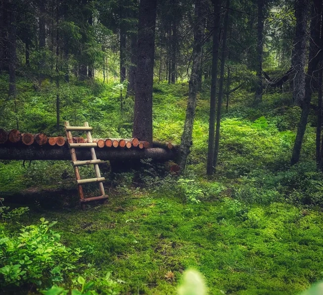 Skogsbad på Ragnerud Vandringsdestination.