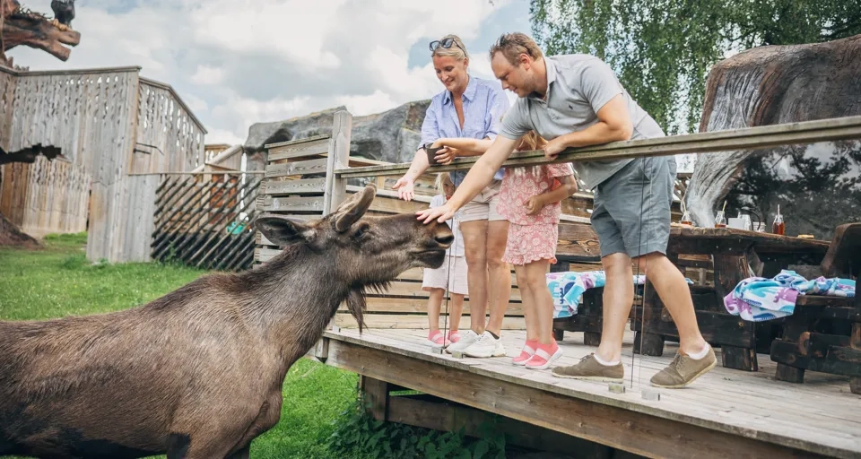 Familj vistas på Älghotellet hos Wrågården.