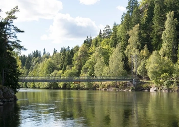 En älv omgiven av skog och över den går en hängbro