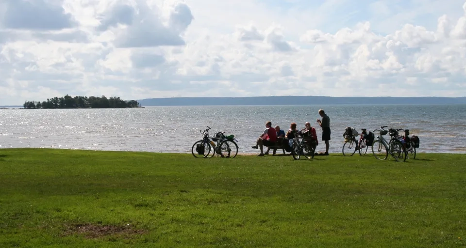En grupp människor som står bredvid cyklar nära ett vattendrag.