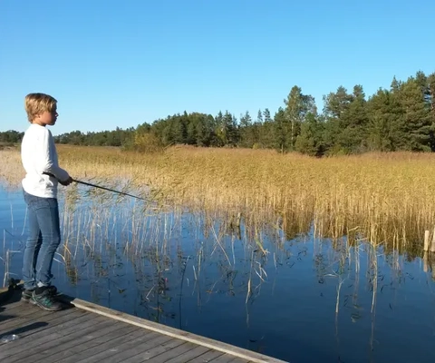 En ung pojke står på en brygga med ett fiskespö.